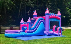 Bubblegum20Bliss204 1754606858 Bubblegum Bliss Bounce House Combo