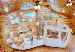 Dream20Dome201 1754608188 Dream Dome