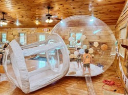 Dream20Dome202 1754608188 Dream Dome
